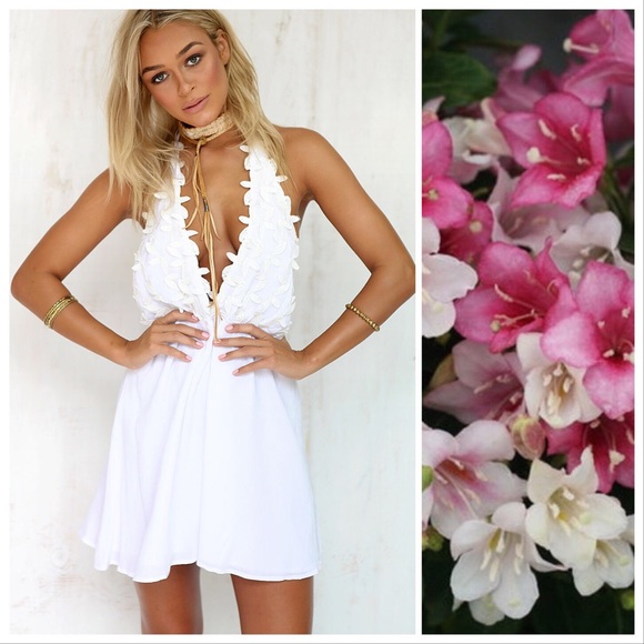 Solaris Style Dresses & Skirts - The White Halter Petal Dress